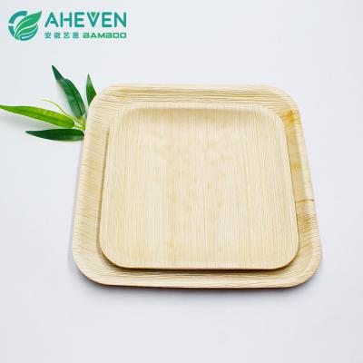  Palm Leaf Plates